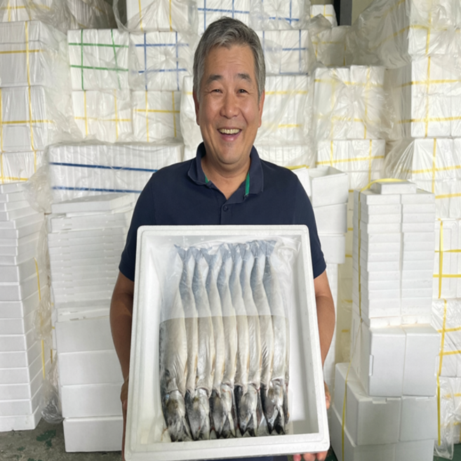 국내산 손질 자반고등어 10+2미 총 12마리 국산 천일염 작업, 1세트, 1.7kg-2.3kg내외