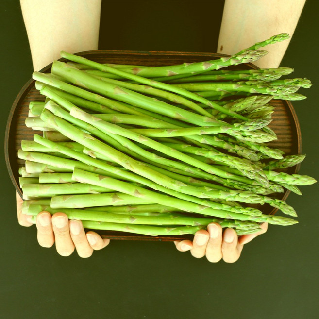 100% 국내산 생 아스파라거스 먹기 편한 미니 사이즈, 500g 미니, 1개