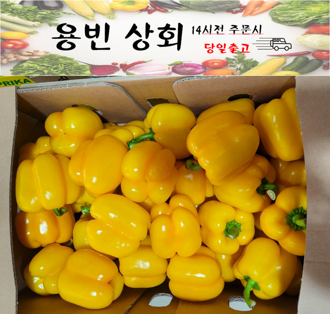 ( 용빈 상회 ) 국내산 노랑파프리카 노랑프리카 못난이파프리카 5kg내외, 1박스