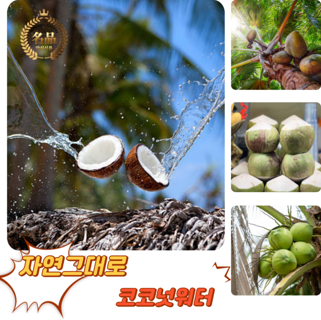 [굿피플] 코코넛 코코넛워터 코코넛열매 코코넛 열대과일 베트남영코코넛 coconut, 1박스, 영 코코넛 2과