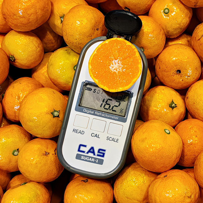 감귤중 최고의맛 16Brix 제주 타이백 감귤, 1박스, 3kg