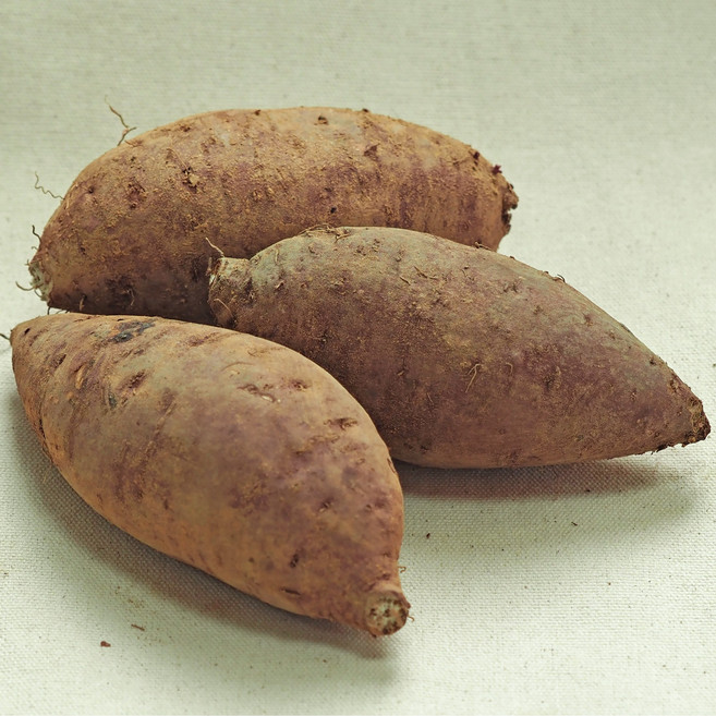 진품인증 받은 해남 못난이고구마, 1개, 3kg 못난이(40g 이상)