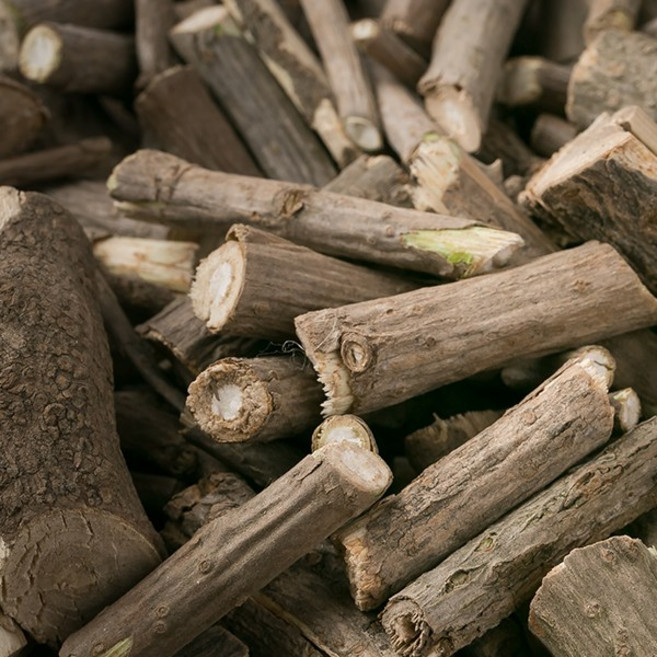 국산 오가피나무 절 600gX2 말린 건조 건 손질 한방 차 오갈피 약초, 2개, 600g