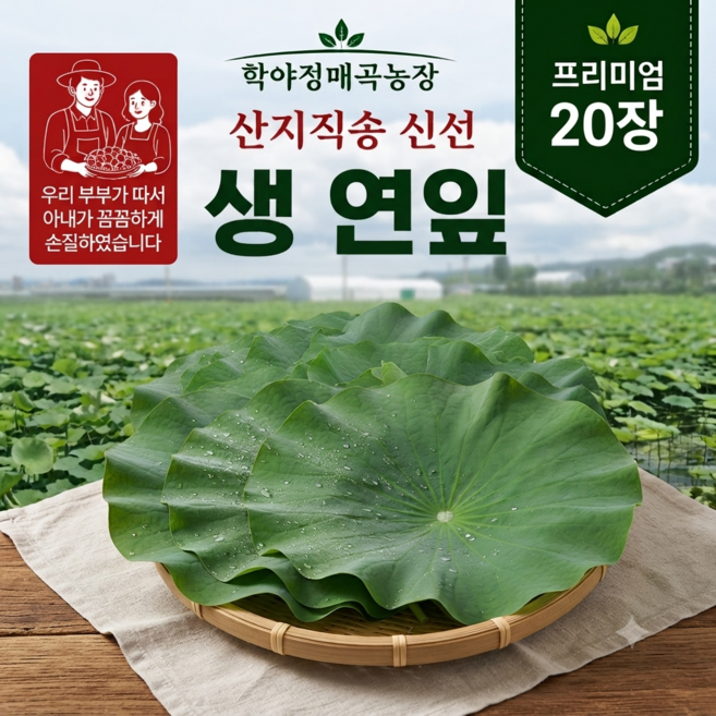 학야정 국산 생연잎 20장 연잎밥용 찜용 연잎, 1세트, 2kg