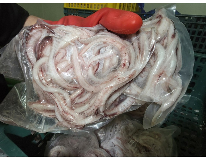 바다장어뼈 머리 장어탕용 국거리용 구이용 장어내장, 1개, 장어뼈500g