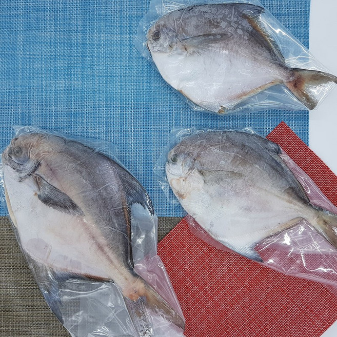 국산 병어 1팩 1마리 300g 냉동, 300g - 1개, 1개