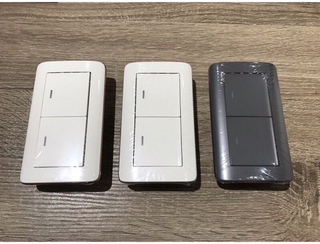 Panasonic 國際牌 RISNA系列 一開關 兩開關 三開關 附蓋板 RISNA 開關 1切 2切 3切, 1個