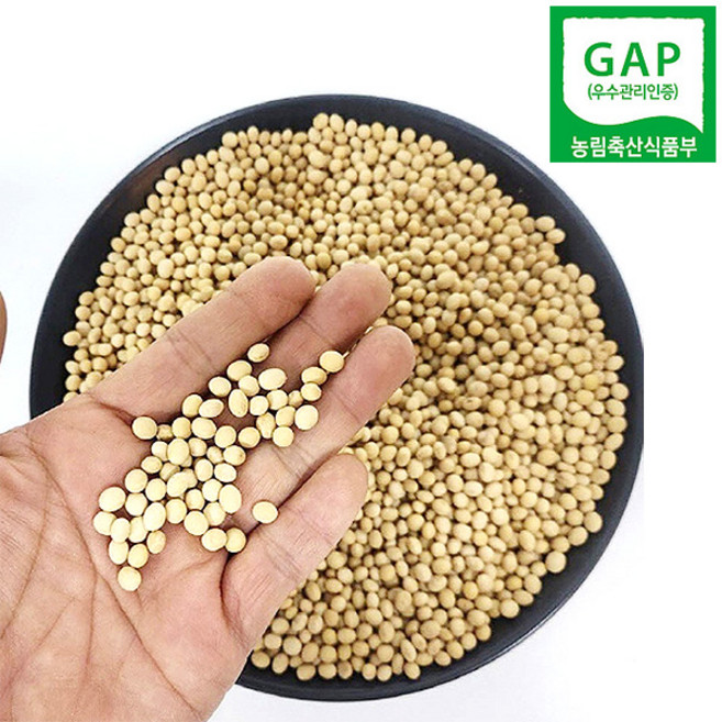 국내산 노랑 콩나물콩 유태콩, 1개