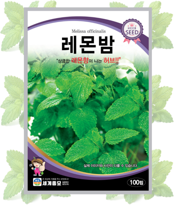 허브 씨앗 레몬밤종자 허브씨추천, 13.스위트마조람100립, 1개