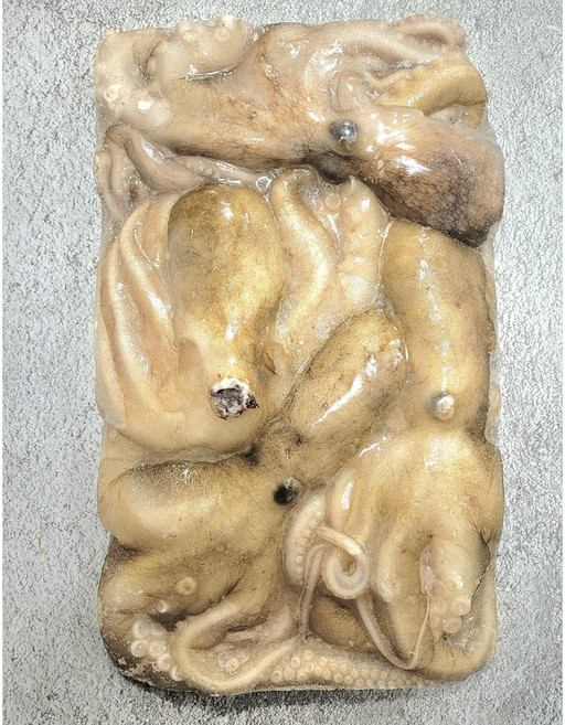 [미쓰리푸드마켓] 냉동 활낙지 1팩 4미 6미 급냉 살아있을때 얼린낙지, 1개, 4미(850g)