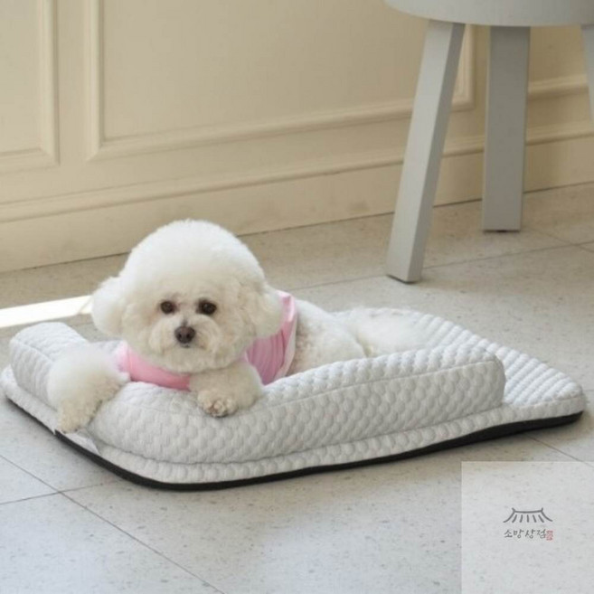 우노구나 [레드퍼피] 라피네 쿠션 L 펫쿠션