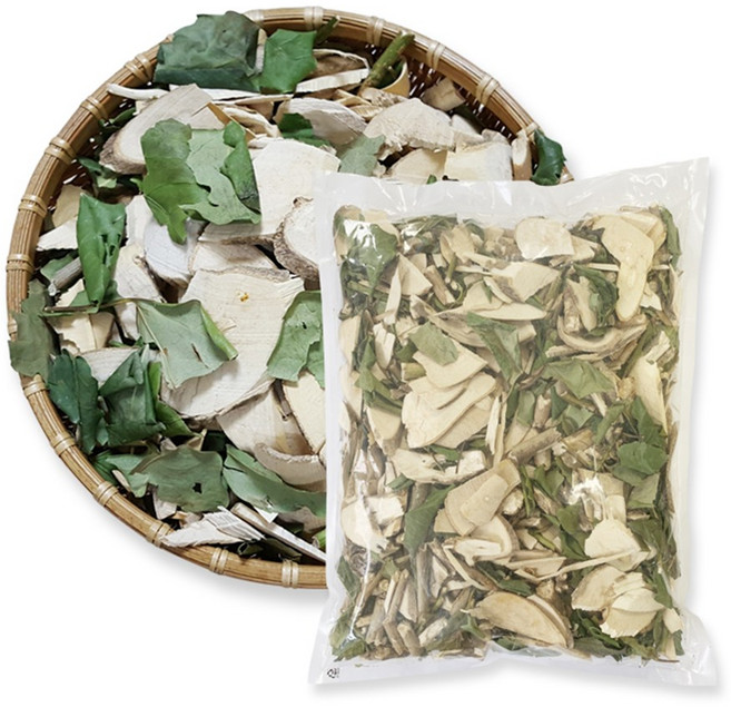 해남 황칠나무 잎 나무, 1kg, 1개