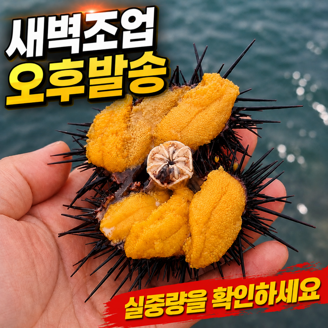 [산지직송] 프리미엄 국내산 우니 보라 성게알, 1개, 100g