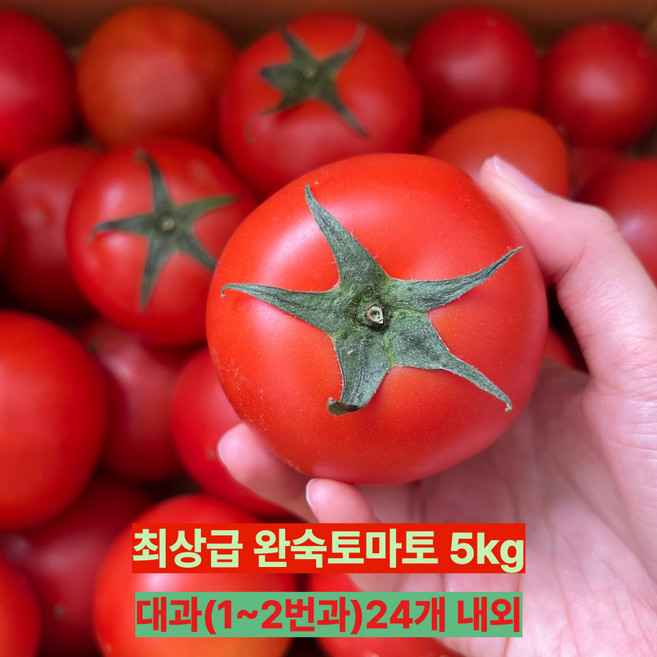 [프래쉬제이] 토마토 가락시장 새벽경매 최상품 완숙 찰 토마토 2 5kg 5kg, 1개, 대과(1.2번과)18~25과