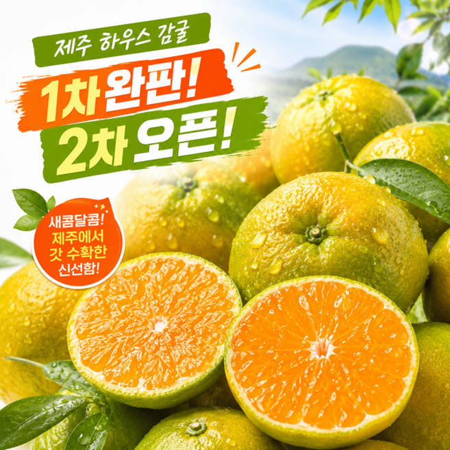 [2차OPEN] 햇살가득 새콤달콤 청정제주 산지직송 하우스귤, 1박스, 3kg