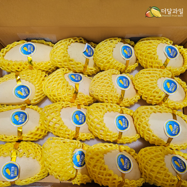 태국 남독마이 골드망고 4입 6입 벌크 항공수입 프리미엄 열대과일, 1박스, 14-16입 (4.8~5kg내외)