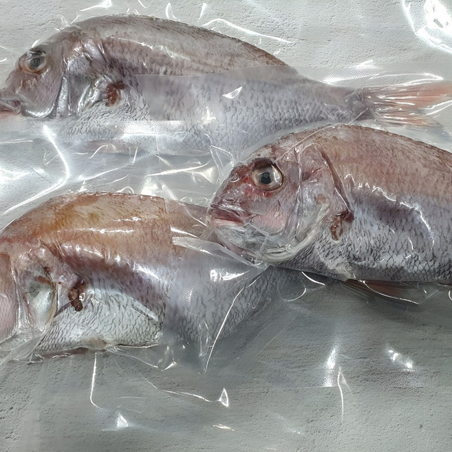 국내산 반건조 참돔 완벽 손질 제수용 구이용, 1개, 400g (내외)