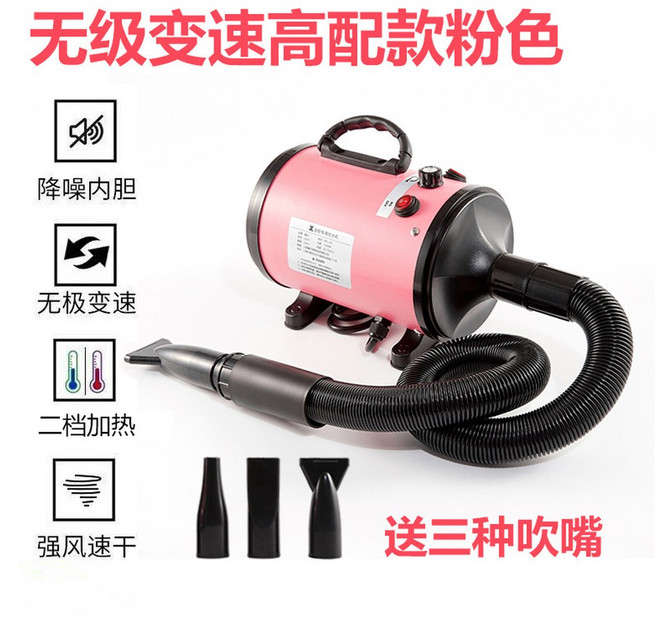 고출력 헤어 드라이어 고출력드라이어 외 1세대 LED 신형 발레라 차량용, 230V잉글랜드핑크