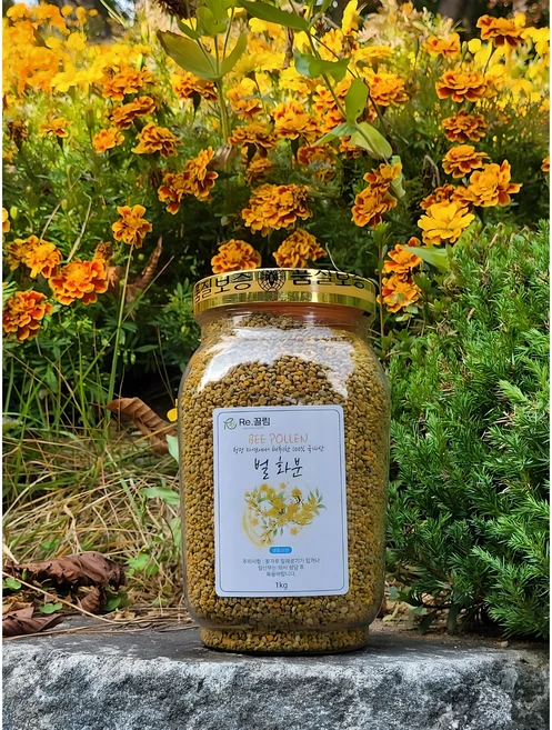 지리산 국산 먹는 꽃가루 건조 벌화분 비폴렌 BEEPOLLEN 1kg 1병, 1개 - 쿠팡