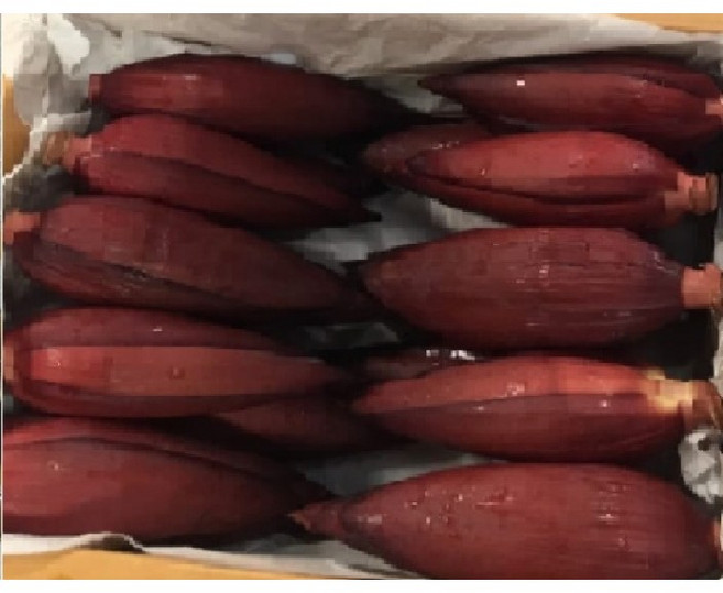 바나나꽃( Babana Blossom)-10kg, 1개