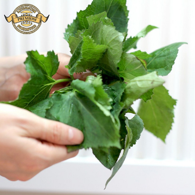 [프리미엄 실패없는 취나물] 경남 국산 취나물 생 취나물 수확 배송 노지에서 키운 취나물, 1개, 2kg