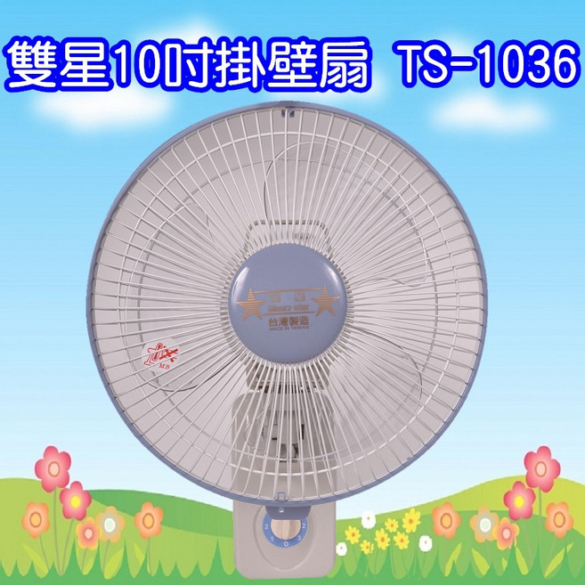 雙星10吋壁掛扇，壁掛設計，多段風速調整，靜音運轉，居家必備, TS-1036
