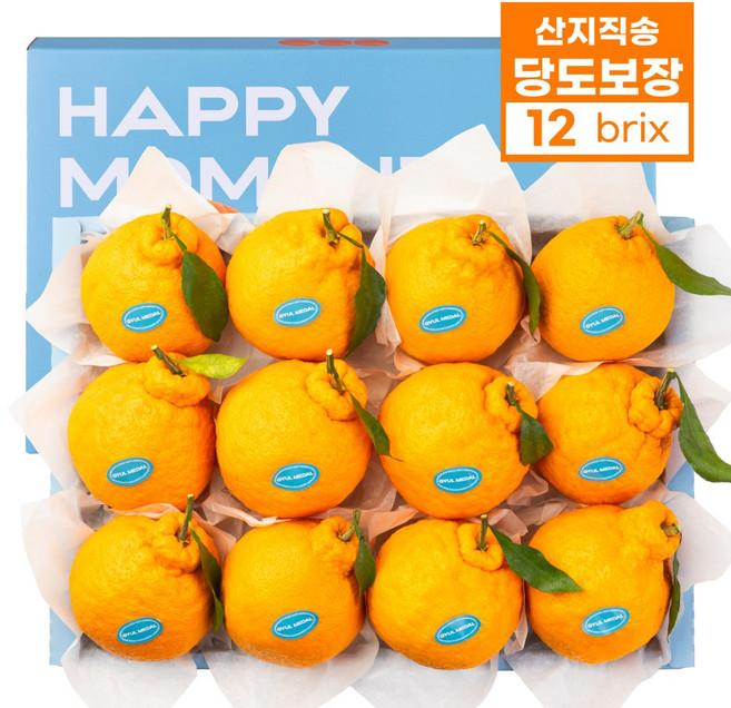 26년 설 프리미엄 과일 선물세트 레드향 한라봉 윈터프린스 천혜향, 1박스, 2.5kg, 한라봉 선물세트