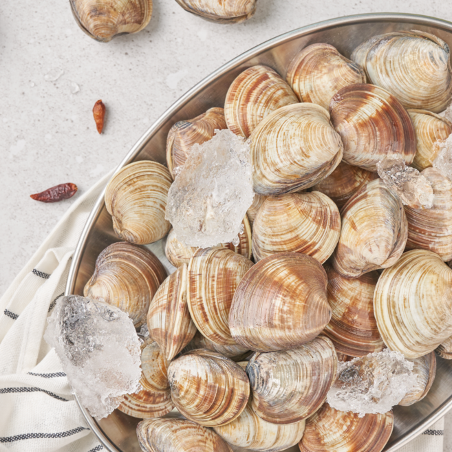 살아있는 백생합 10kg 해감완료 오씨수산 조개찜, 1개, 백생합 5kg