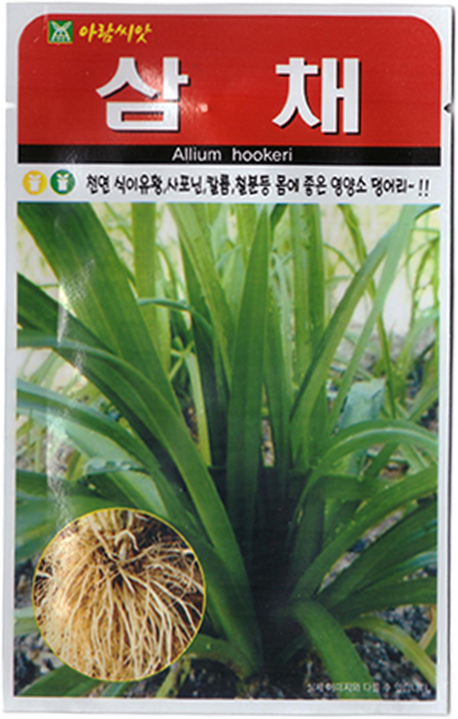 아람 삼채 씨앗 100립, 1개