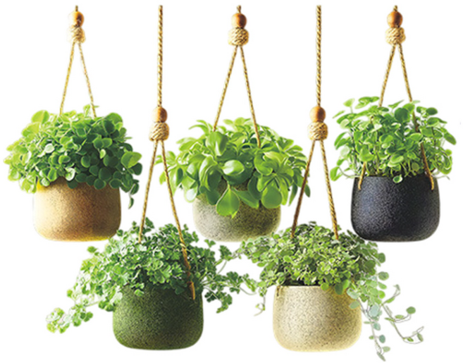 월간리빙 인테리어 데코 창문 포인트 식물 스티커, 그린B