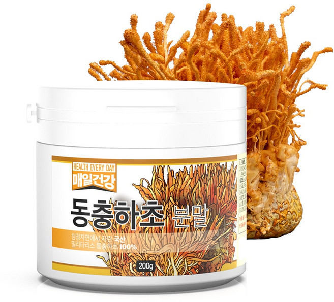 매일건강 동충하초 100% 분말 (스푼포함) 활력강화에 좋은 코디세핀, 1개, 200g