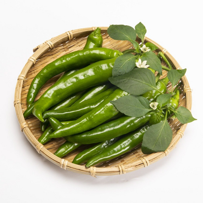 여름수확 오이고추 청량고추 꽈리고추 특품 유기농 무농약 제철농산물 야채, 1개, 유기농 청양고추 1kg