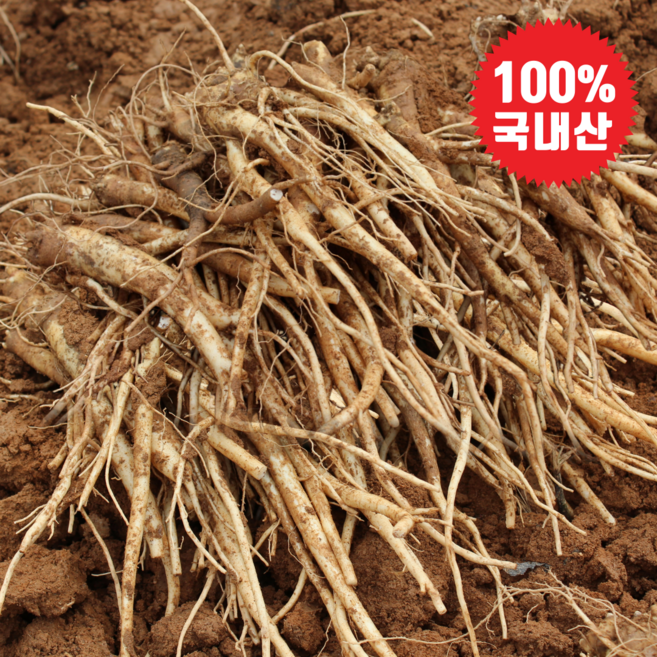 [초특가할인] 국내산 도라지 생도라지 약도라지 실속형, 1개, 도라지 즙용 5kg