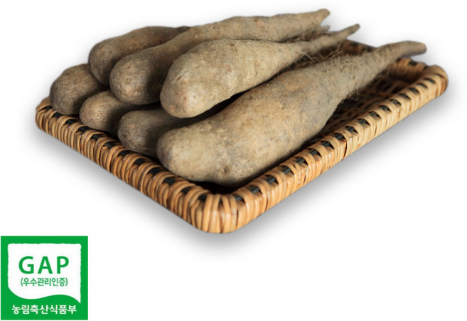 태나농장 GAP인증 마 산마 참마 중품, 1박스, 3kg