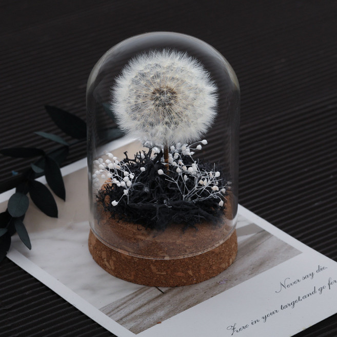 熱賣永生花玻璃罩蒲公英母親節七夕情人節男生女生日結婚禮物, 1個, LH-023粉色(帶櫥窗禮盒):1, 1cm