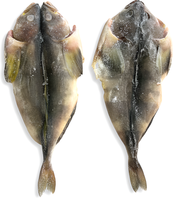 임연수 5kg 내장제거 대용량 냉동 임연수 구이용 조림용 업소용, 1개, 손질 임연수 5kg 20미