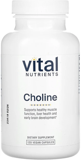 Vital Nutrients 바이탈뉴트리언츠 콜린 275mg 120 캡슐 건강영양제, 1개, 120정 - 쿠팡
