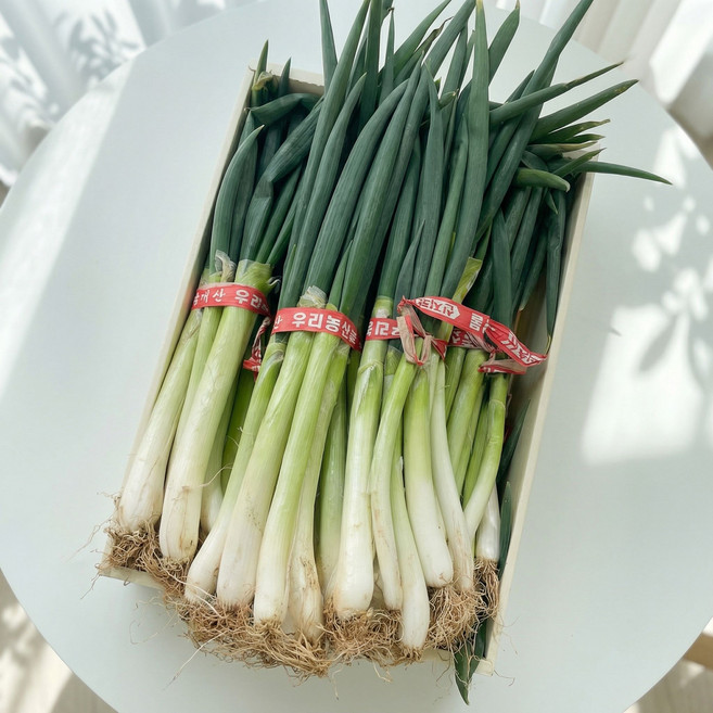 (당일경매) (당일출고) 국내산 대파 2kg 3kg 5kg 10kg내외 1박스 (최상급), 1개