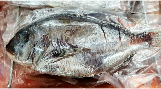 제수용 참돔 반건조 신안천일염으로 간질 담백한 맛있는 맛, 1개, 650g