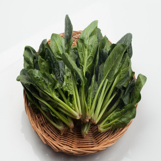 일등농수산 산지직송 정품 시금치, 2kg, 1개