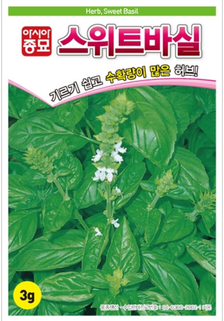 아시아종묘 씨앗 허브 스위트바실 50g 바질, 1개