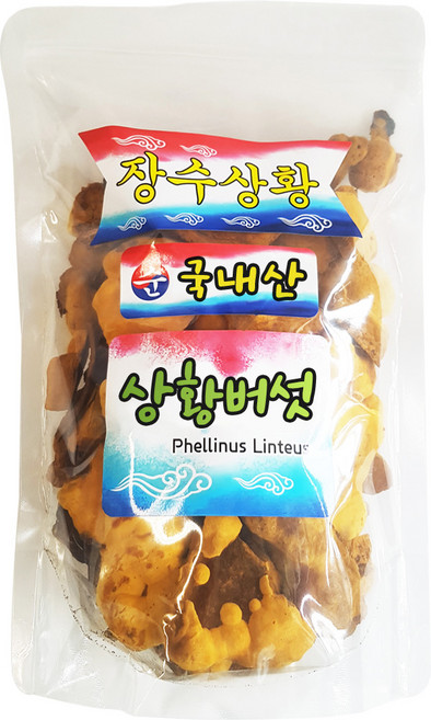 동의한약나라 장수 상황버섯, 1개, 150g