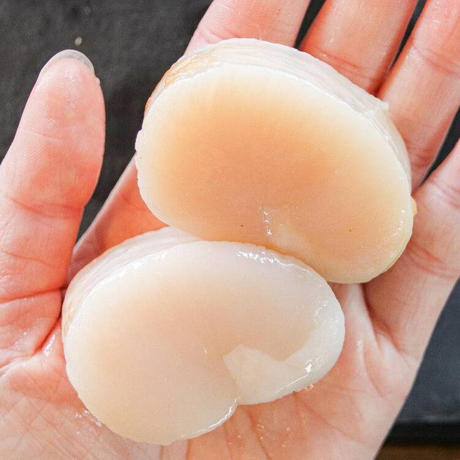 국내산 키조개 관자 통관자 횟감가능, 1개, 1kg(20-25미내외)