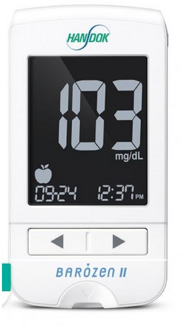 바로젠2 혈당측정기+채혈기+채혈침10개+2032건전지2개+휴대용가방+사용설명서+당뇨관리수첩 2시이전 주문시 오늘출발, 1세트