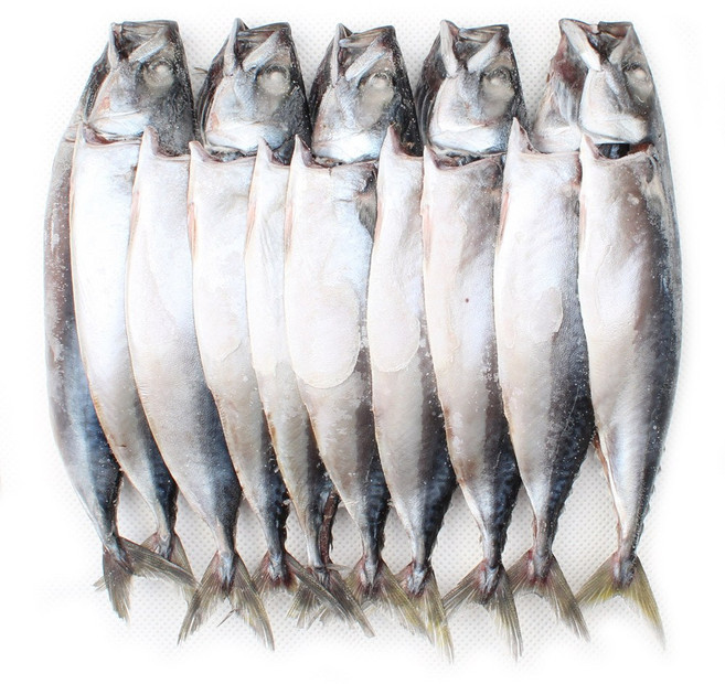 새우몰 국산 간고등어(대) 10미 3kg 자반고등어 국내산 천일염 1%, 1개