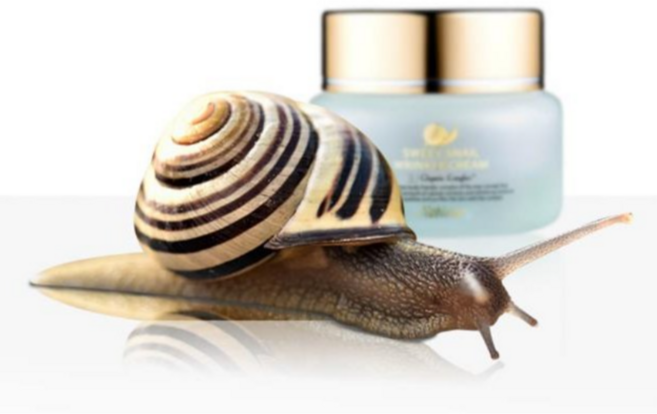 px달팽이크림 군대 달팽이크림 60g, 1개