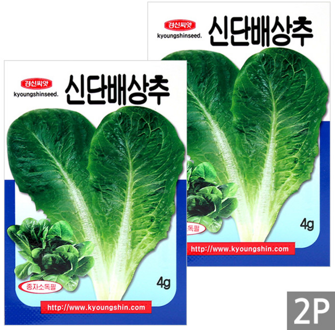 세인화분 신 단배 상추 4g - 씨 씨앗 담배상추 상추씨 상추씨앗 채소, 2개