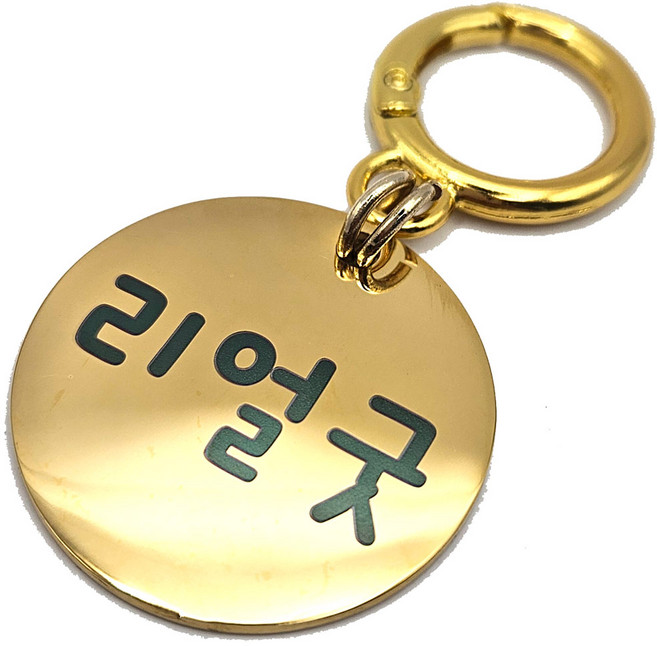 아츠플로우 고리형 대형견 인식표, 원형, 1개, 골드