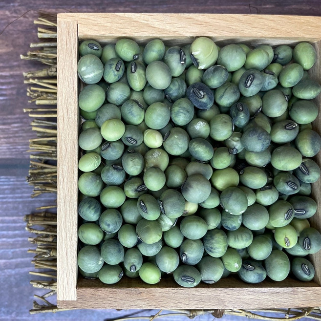 농랑부랑 국산 청밤콩 청태 청태콩 푸르대콩 청서리태 500g 1kg, 1개
