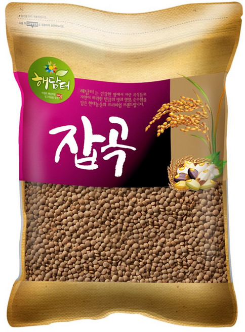 현대농산 갈색 렌틸콩 5kg 렌즈콩, 1개